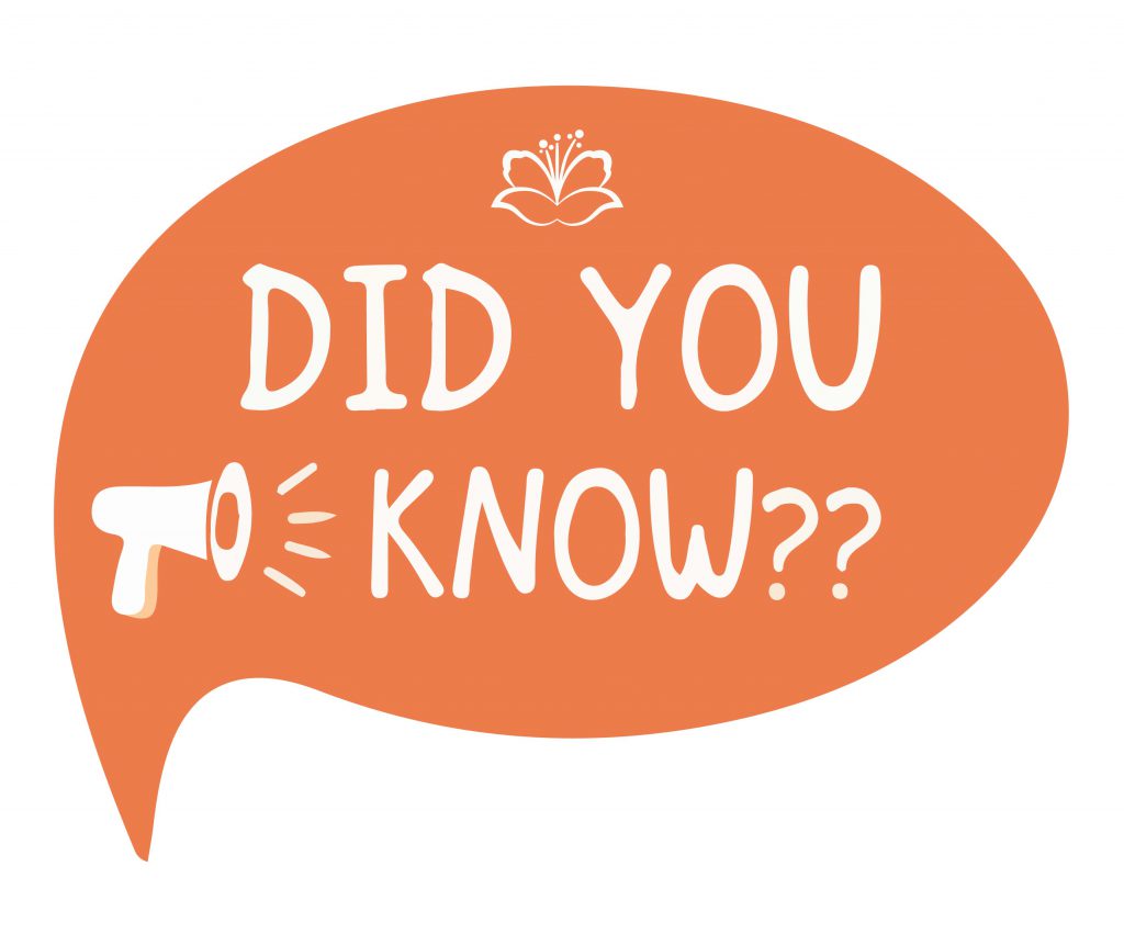 BocaWest Blogs, News, Events, Social Responsibility